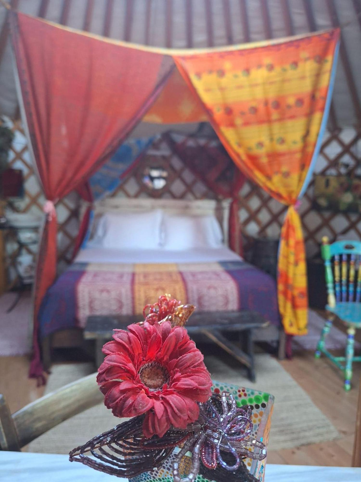 2 Cuori E 1 Yurta Glamping In Tuscany - Adults Only Ашано Экстерьер фото